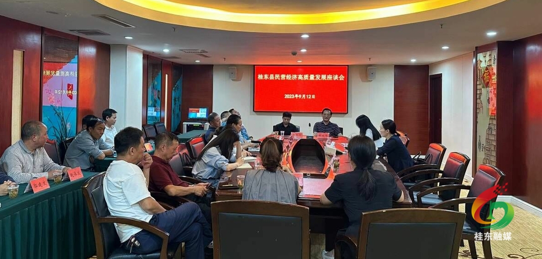 我县召开民营经济高质量发展座谈会