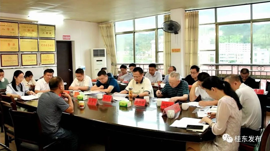 伍志平到桥头乡下访接访