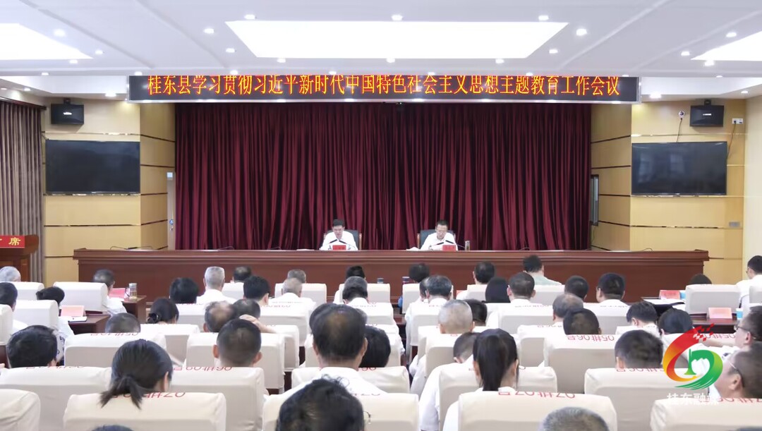 桂东县学习贯彻习近平新时代中国特色社会主义思想主题教育工作会议召开