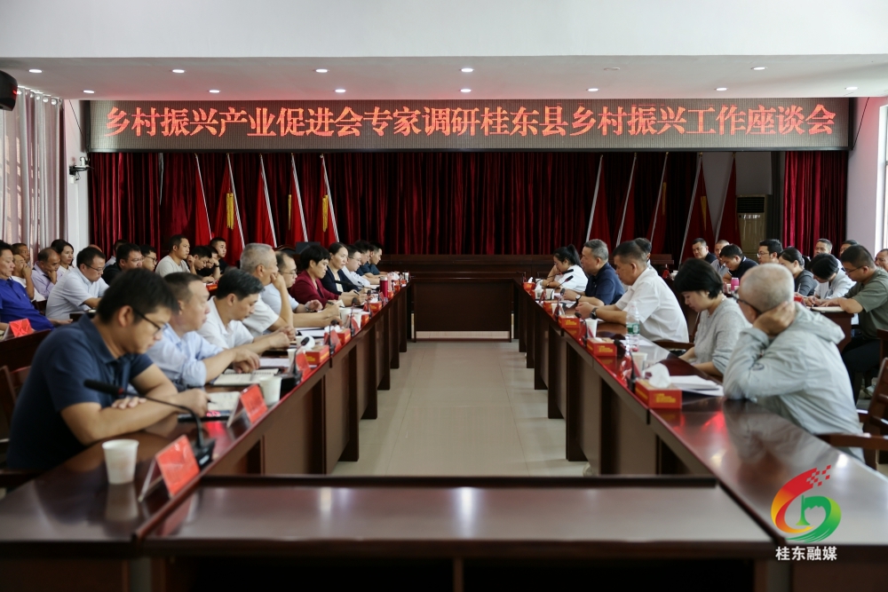 高扬先带队调研龙头乡村振兴工作