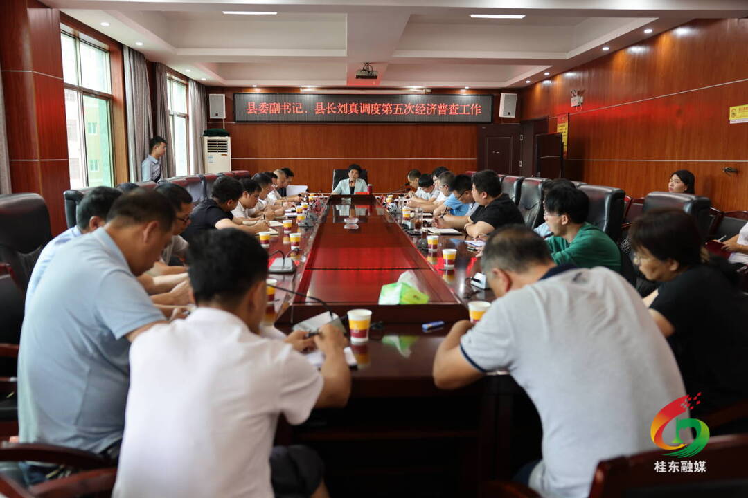 刘真调研我县第五次全国经济普查等工作