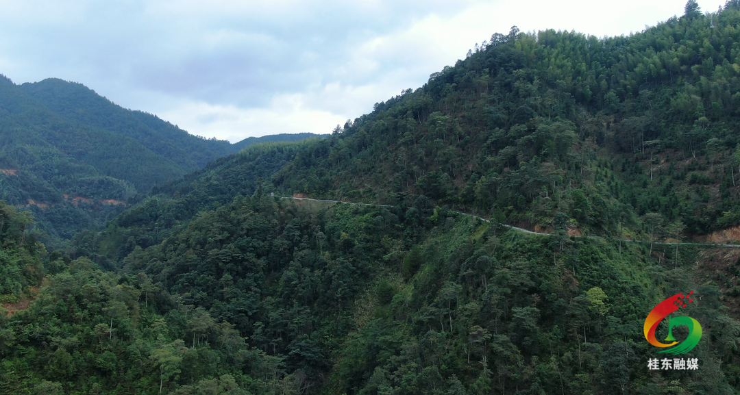 ​我县扎实推进X005线改建  拓宽群众幸福安心路