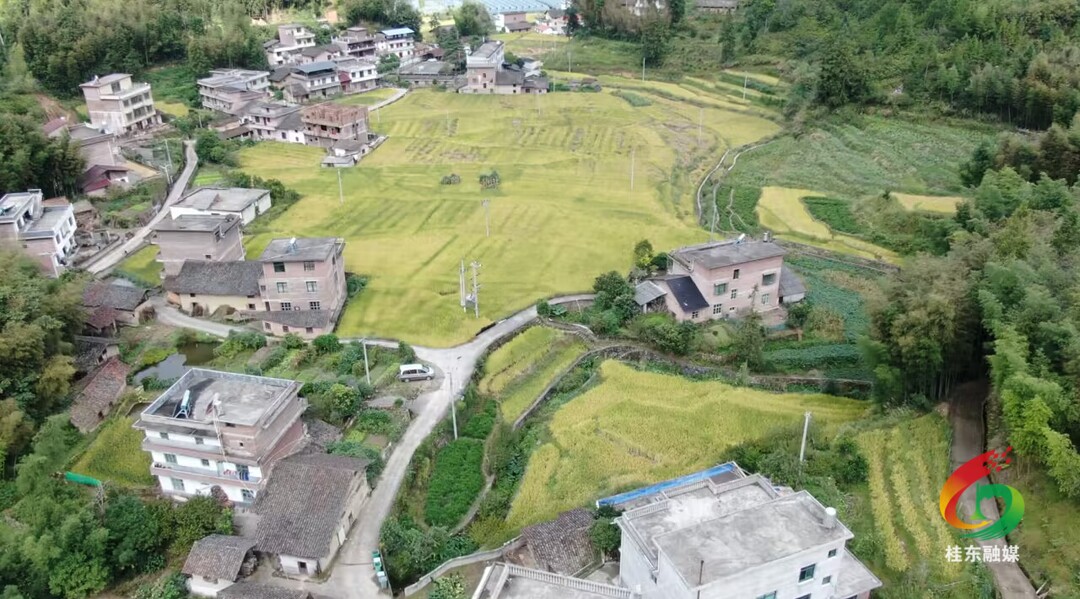 我县奏响秋日丰收序曲