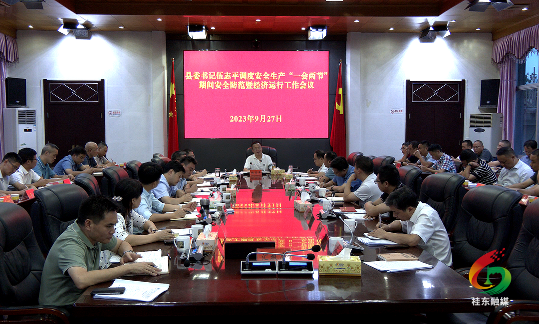 伍志平调度“一会两节”期间安全防范暨经济运行等工作