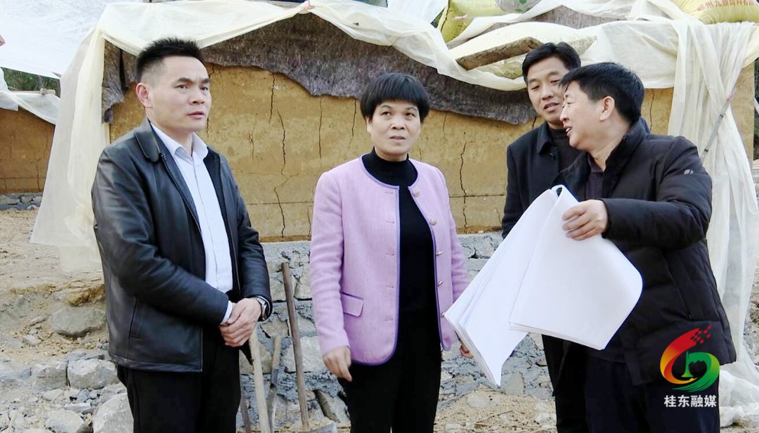 刘真深入东洛乡宣讲省两会精神暨调度项目建设等工作