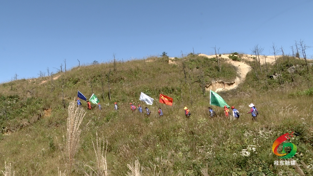 我县开展护鸟志愿服务活动