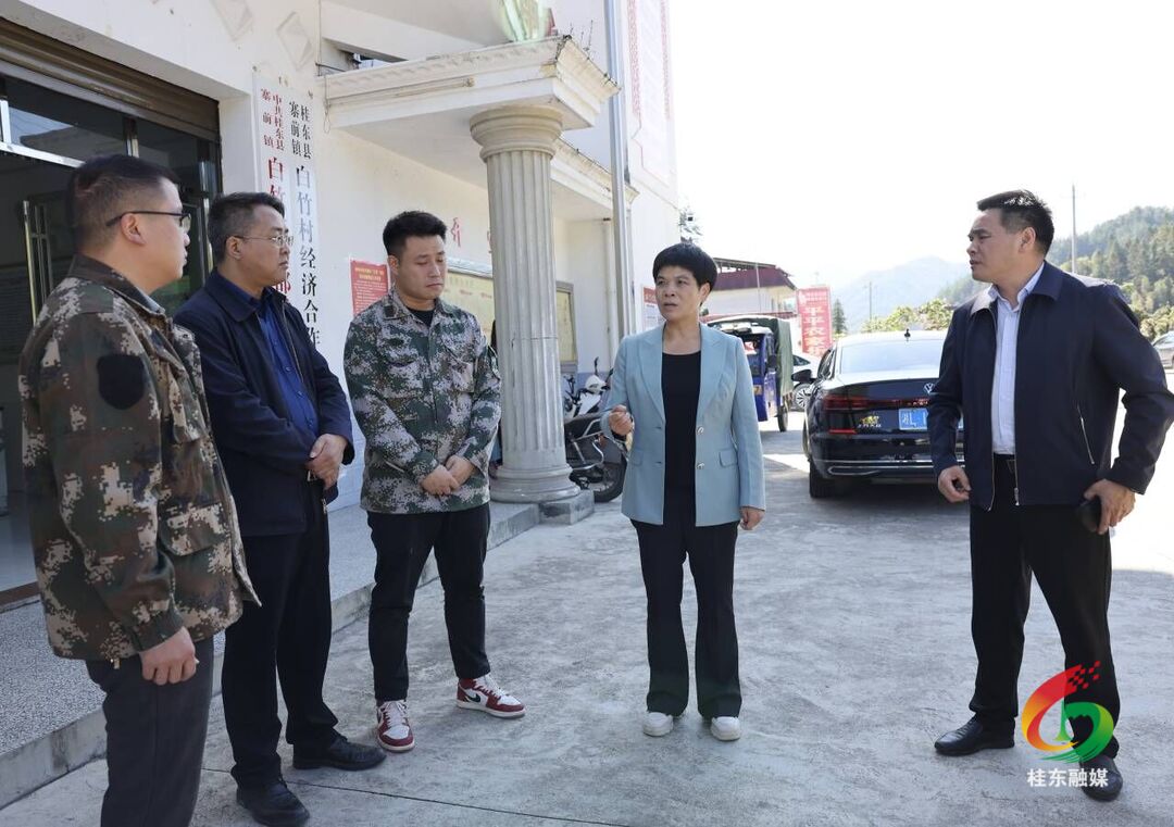 刘真带队督查森林防火和大气污染防治工作