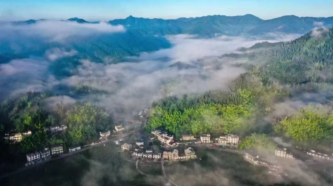 桂东入选2023年最受市场喜爱的湖湘避暑旅游目的地名单