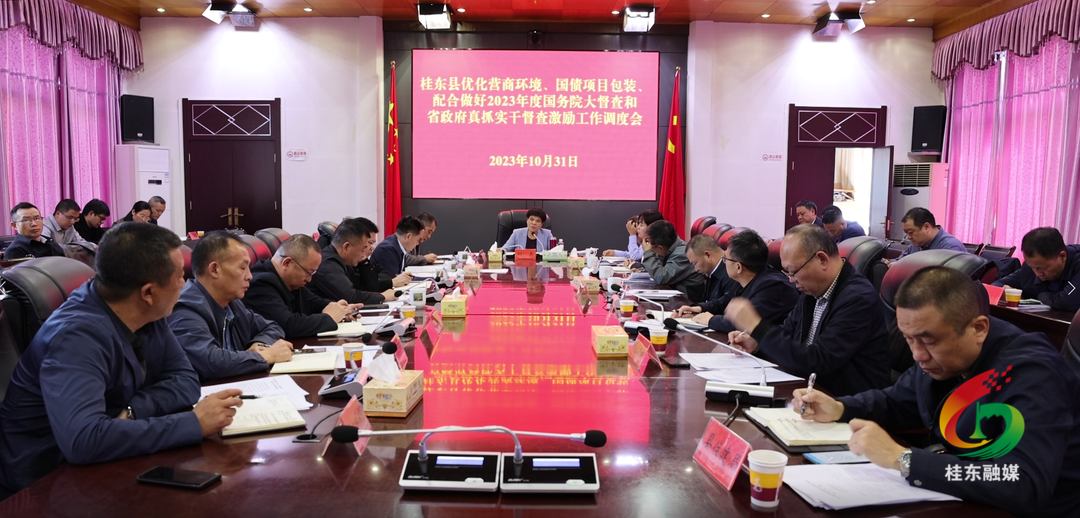 刘真督导沙田镇乡村振兴工作