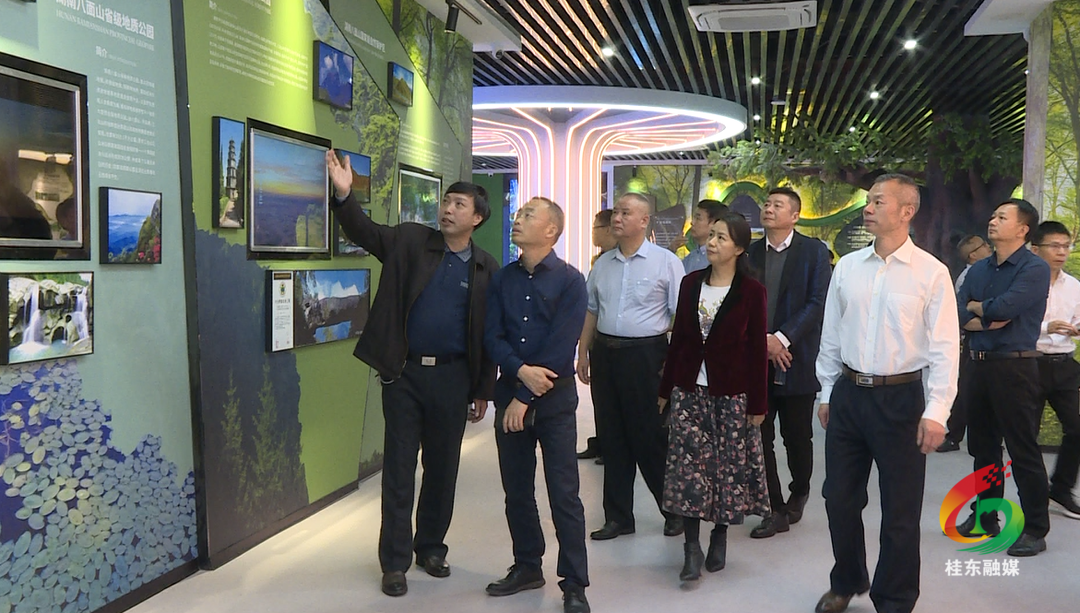 市政协调研我县中药材产业发展情况