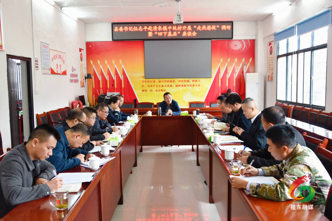伍志平赴清泉镇开展“走找想促”调研暨“四下基层”活动