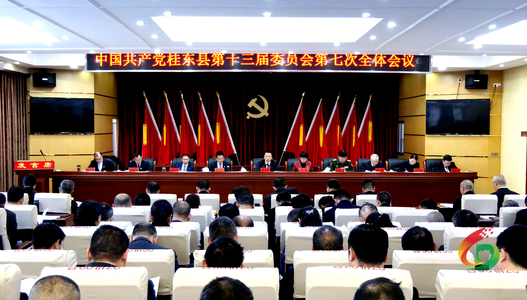 中共桂东县委十三届七次全体会议召开