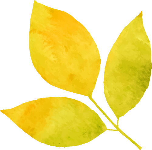 【清廉桂东进行时| 清廉乡村】清风润廉色 春风促振兴