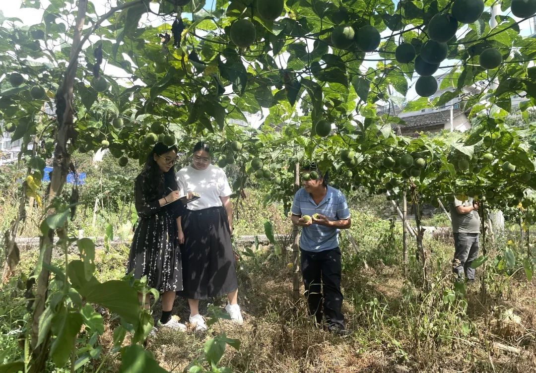 梳理问题清单、完善工作制度…桂东以有力有效监督全力护航乡村振兴