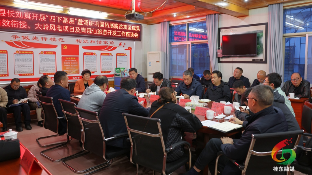 四下基层·走找想促|刘真到寨前镇调研有效衔接、项目建设和旅游开发等工作