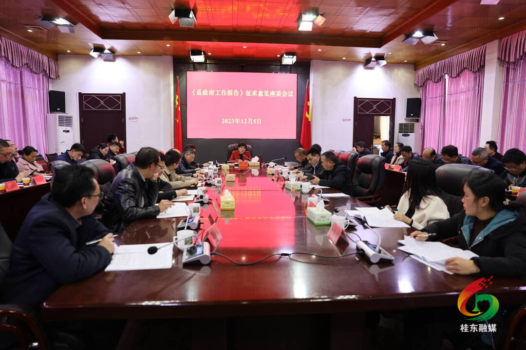 刘真主持召开《县政府工作报告》征求意见座谈会