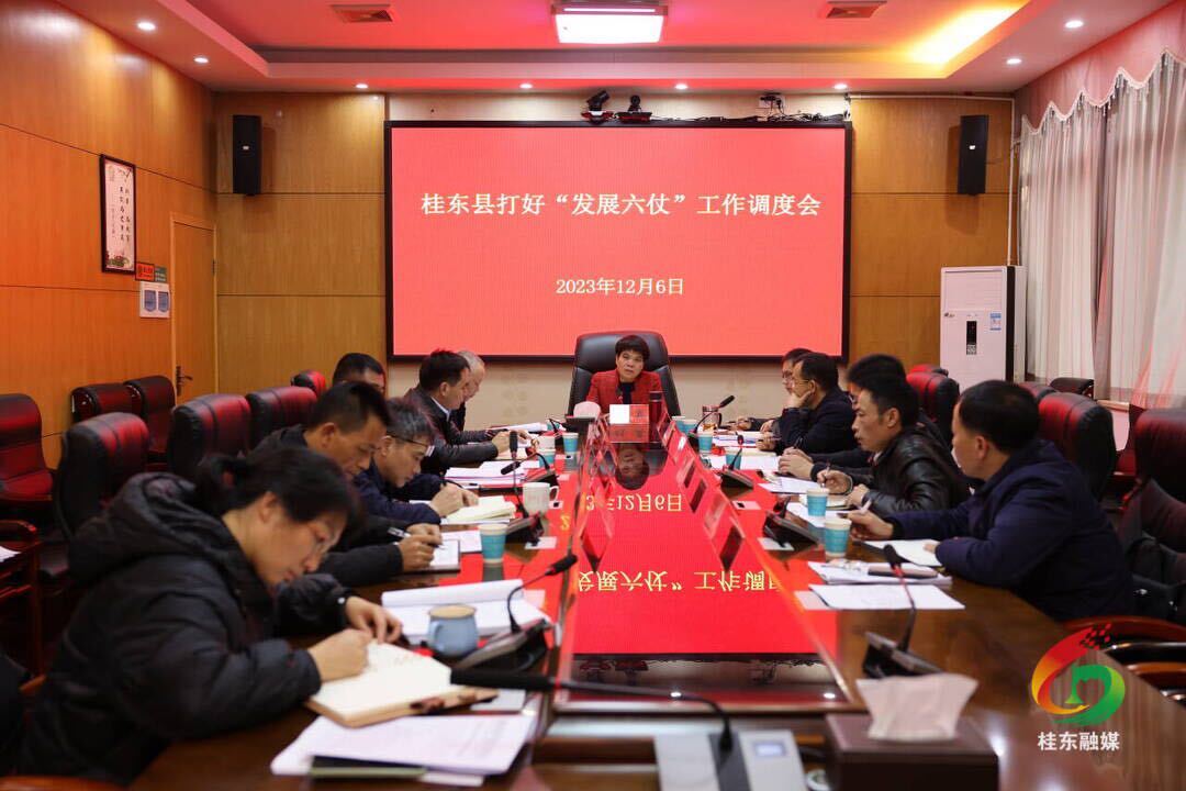 刘真调度打好“发展六仗”工作