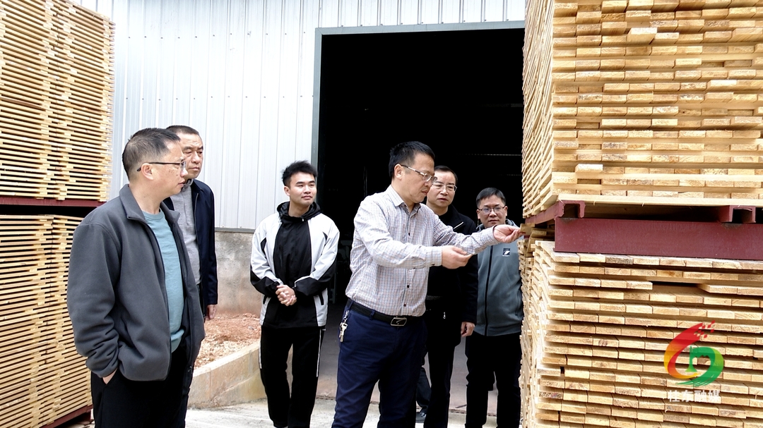 伍志平带队开展“走找想促”活动暨调研产业发展工作