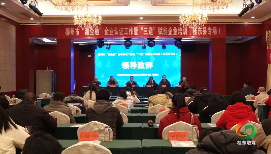 我县举办“湘企融”企业认证工作暨“三送”赋能企业培训