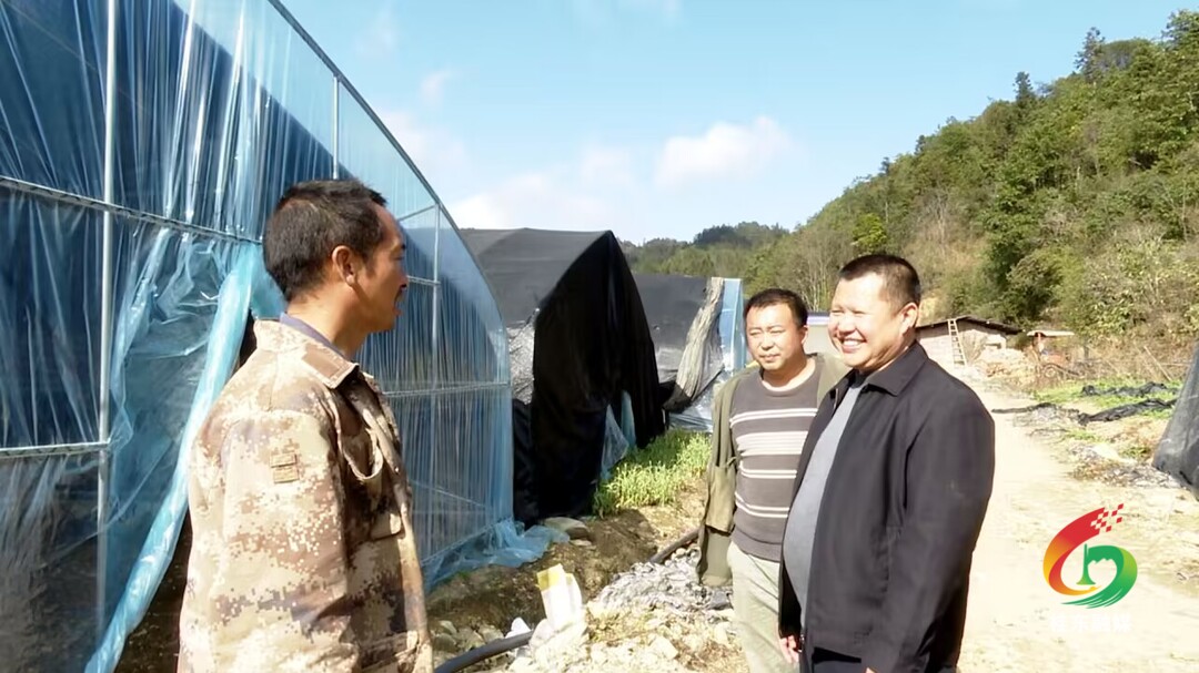 代表委员风采|曾显东： 乡村振兴“领航员” 幸福事业“追梦人”