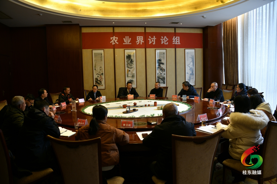 聚焦两会|伍志平刘真等县领导分别参加政协分组讨论