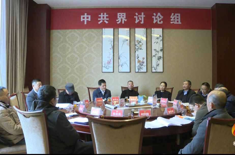 聚焦两会|县政协委员协商讨论政府工作报告和其他工作报告
