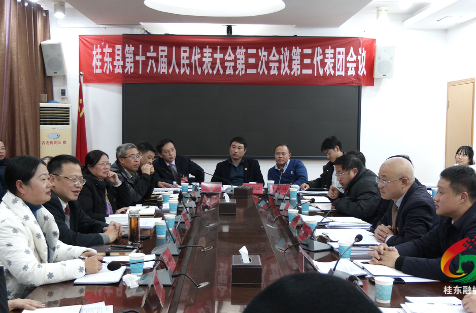 聚焦两会|县人大代表继续分组审议 伍志平参加