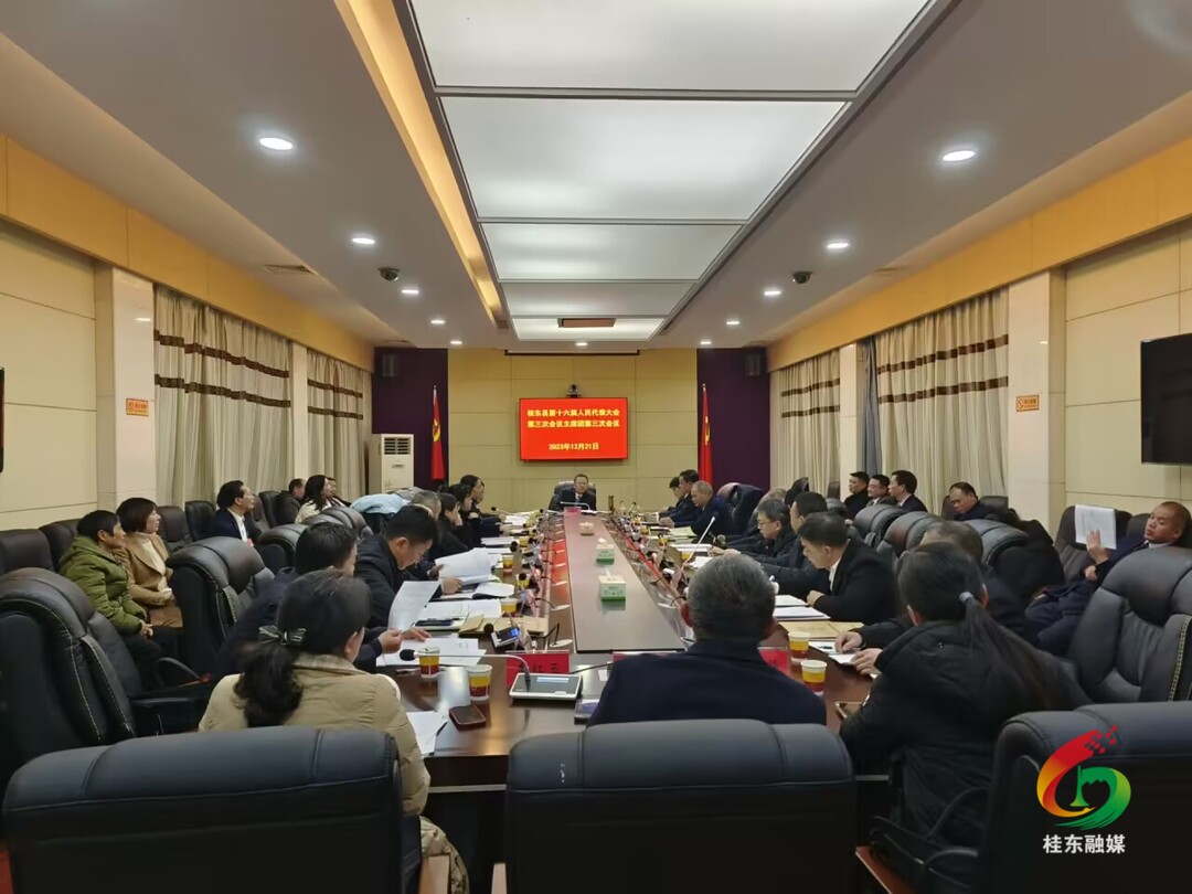 聚焦两会|县十六届人大三次会议召开主席团第三次会议