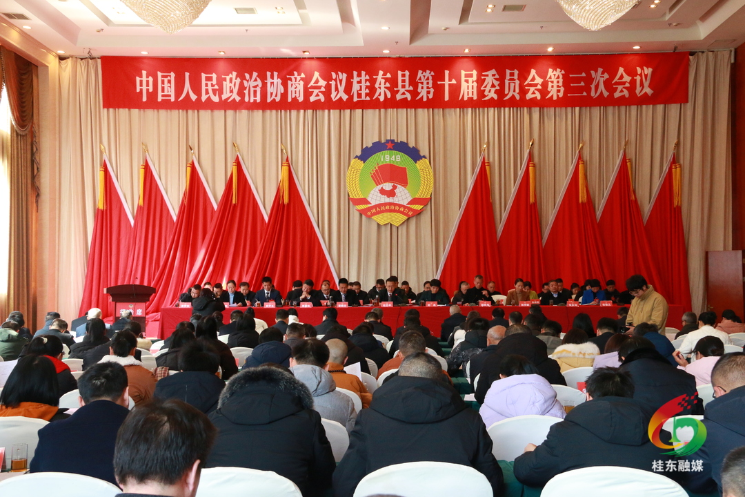 聚焦两会|政协桂东县十届三次会议胜利闭幕