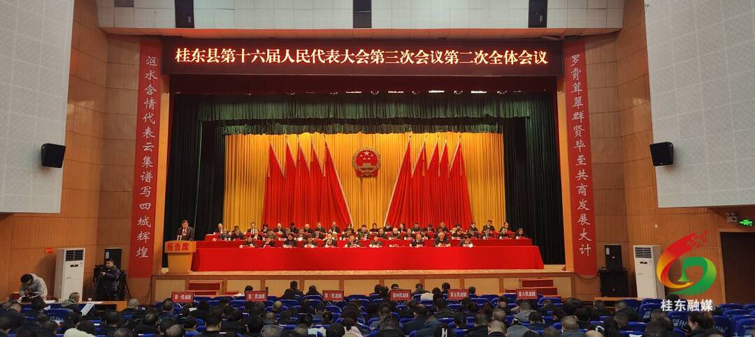 聚焦两会|桂东县十六届人大三次会议举行第二次全体会议 听取县人大常委会工作报告和“两院”工作报告