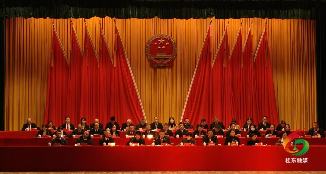 聚焦两会|县十六届人大三次会议召开主席团第四次会议