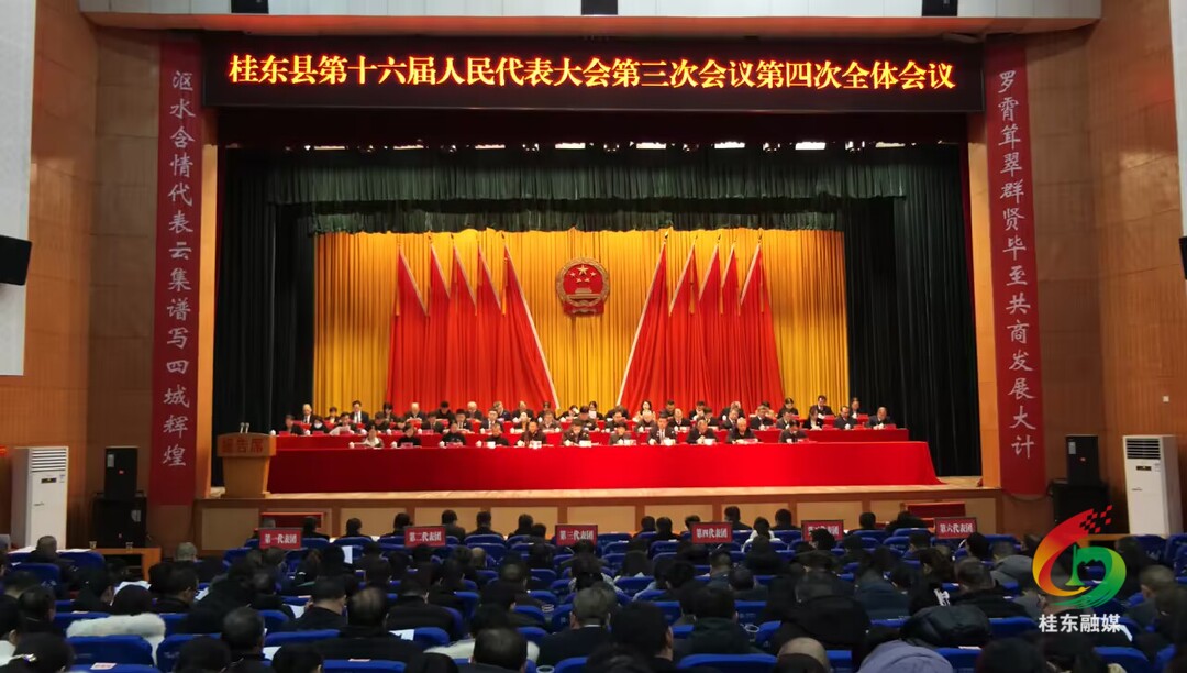 聚焦两会|全面贯彻落实两会精神 锚定目标勇担当 笃行实干谱新篇