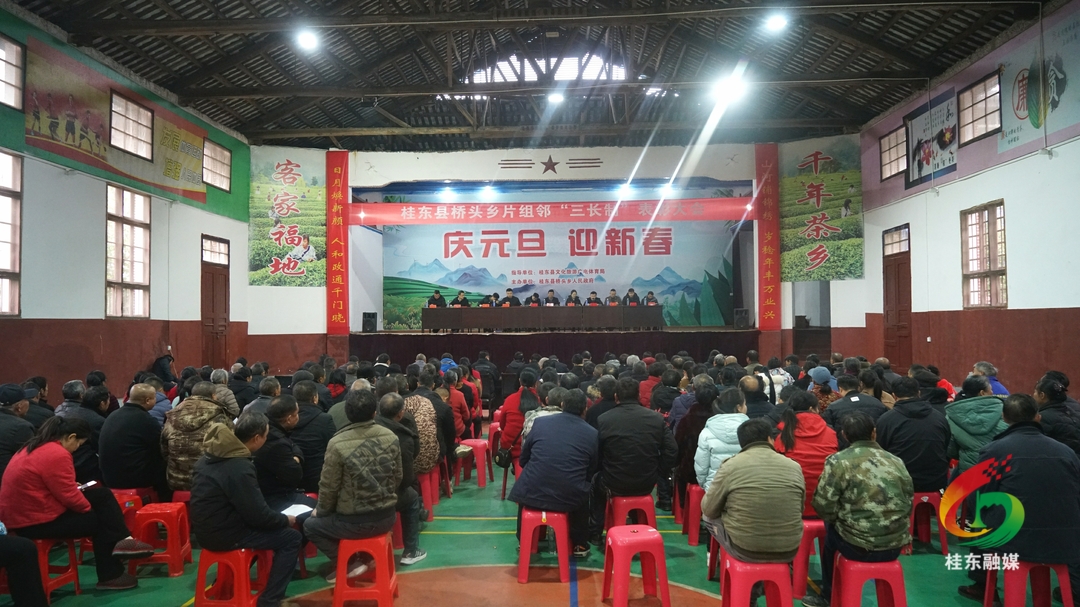 桥头乡召开片组邻“三长制”表彰大会