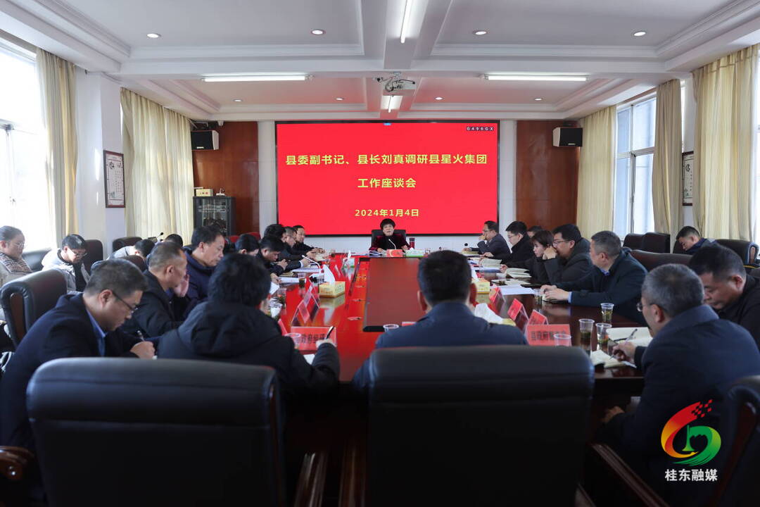 刘真调研县星火集团有关工作