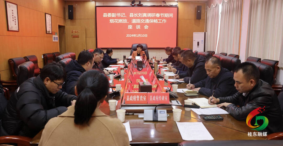 刘真调研春节期间烟花燃放和道路交通保畅工作