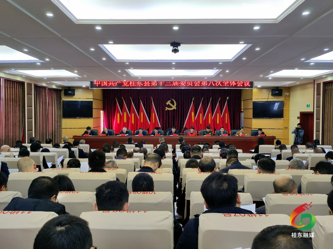 中共桂东县委十三届八次全体会议召开
