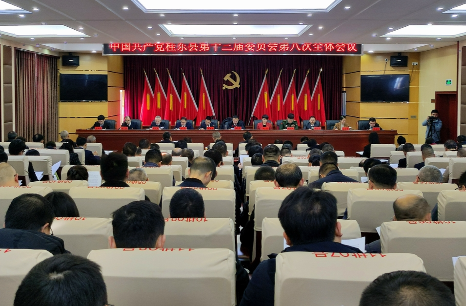 聚焦全会话落实|实干担当加快建设全民幸福小城