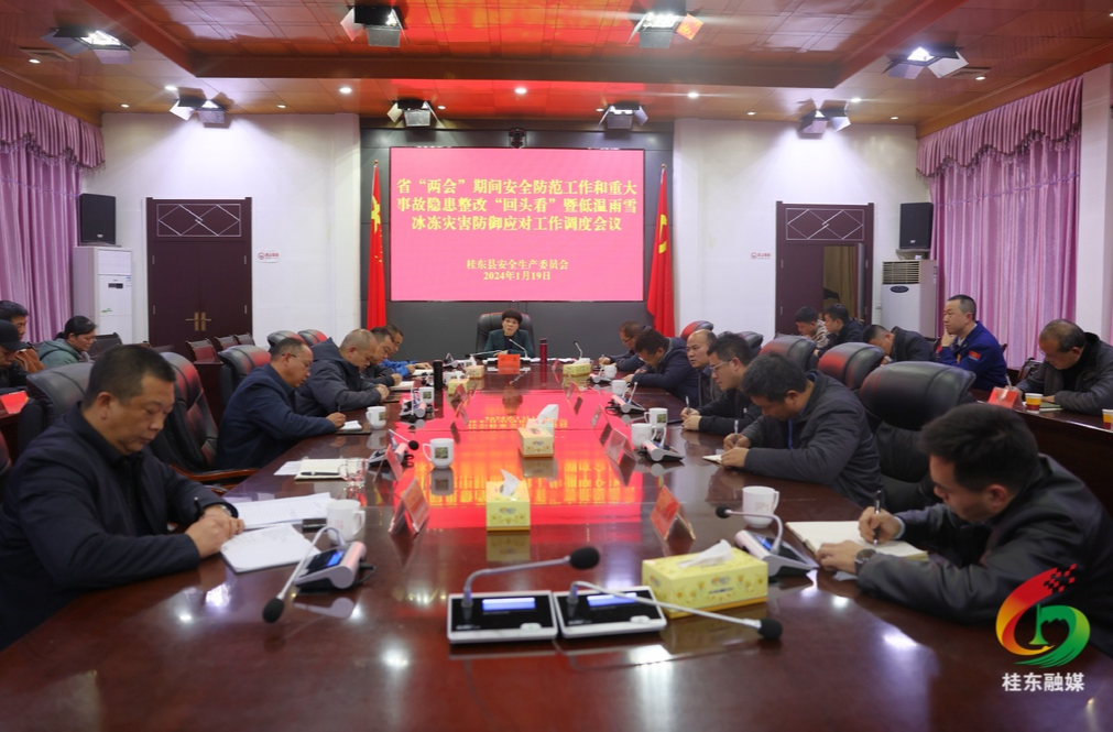 刘真调度省两会期间安全防范和低温雨雪冰冻灾害防御应对等工作