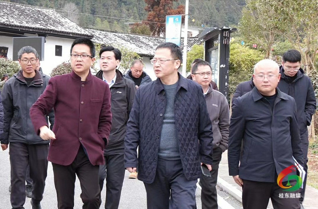 伍志平调度城乡风貌整治工作