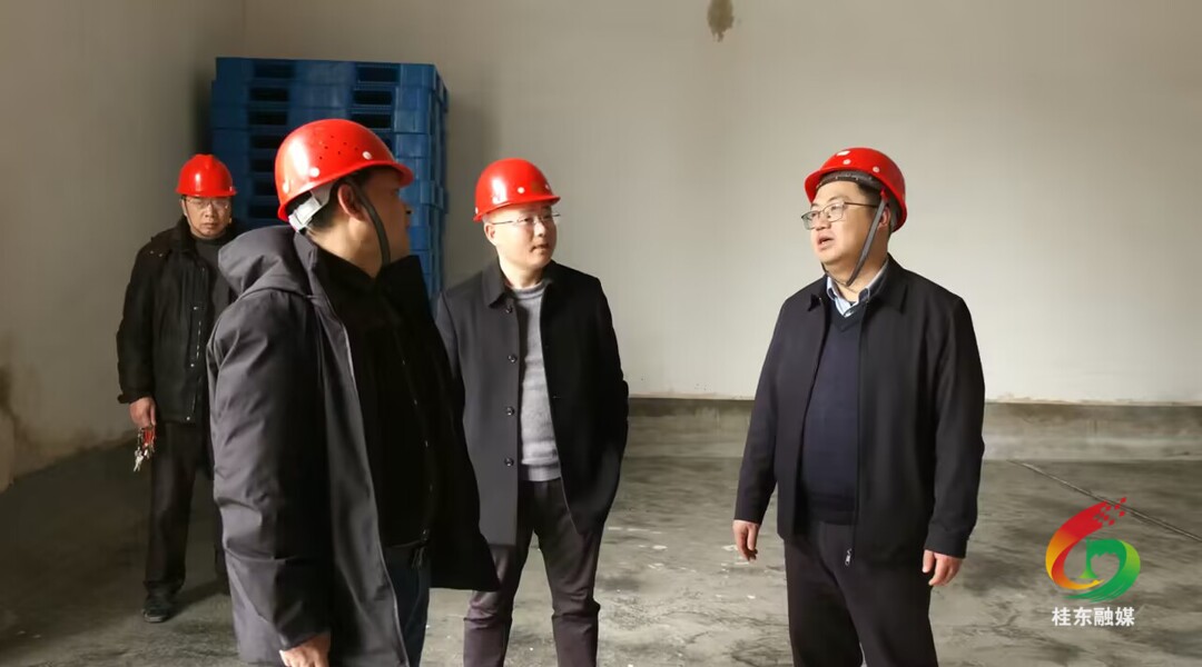 县领导带队检查节前安全生产和粮食应急保障工作