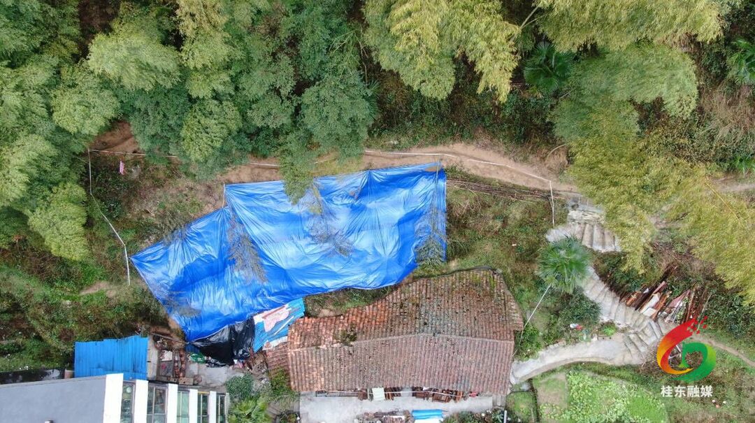 金田社区突发山体滑坡 多部门联手处置化险为夷