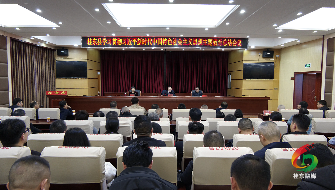 全县学习贯彻习近平新时代中国特色社会主义思想主题教育总结会议召开