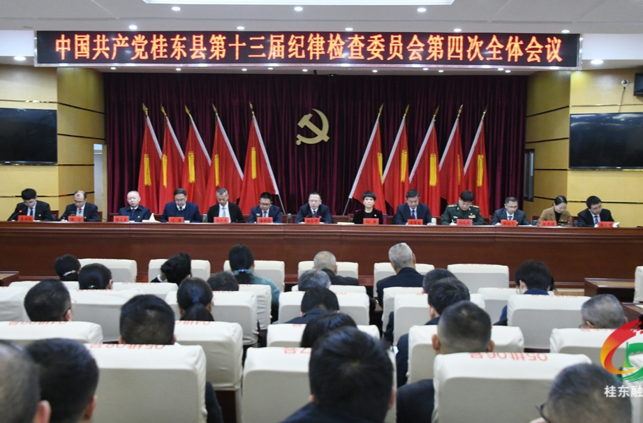 县第十三届纪委第四次全会在我县党员干部中引发热烈反响