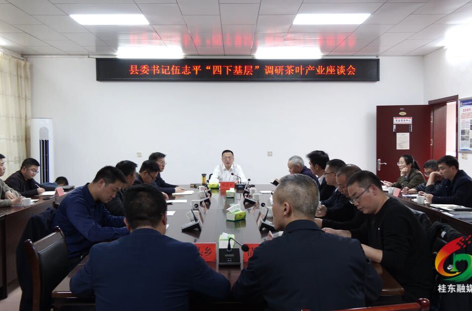 伍志平调研茶叶产业工作