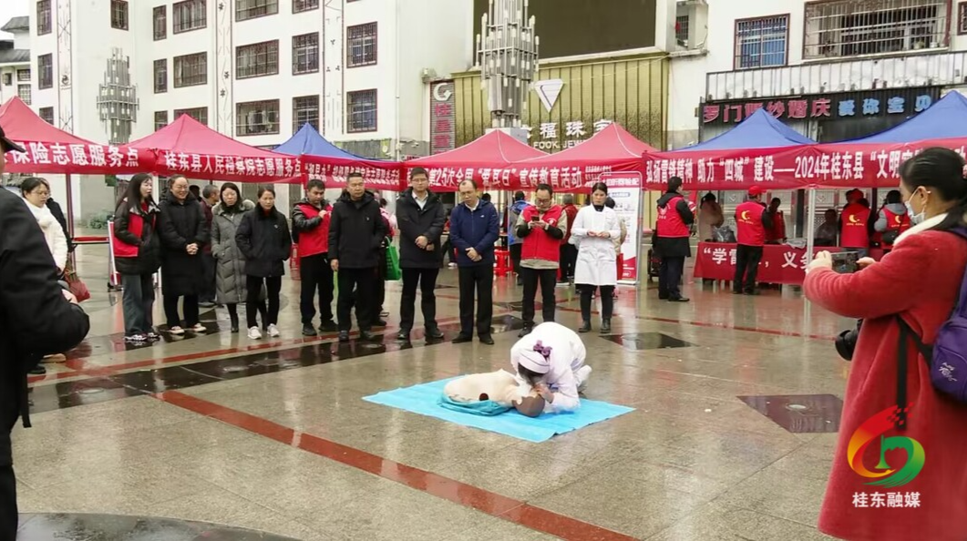 我县开展2024年学雷锋月集中志愿服务活动