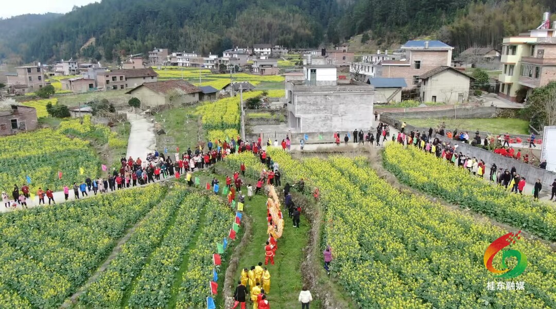 桂东举办“麻雀节”活动  弘扬传统民俗  赋能乡村振兴