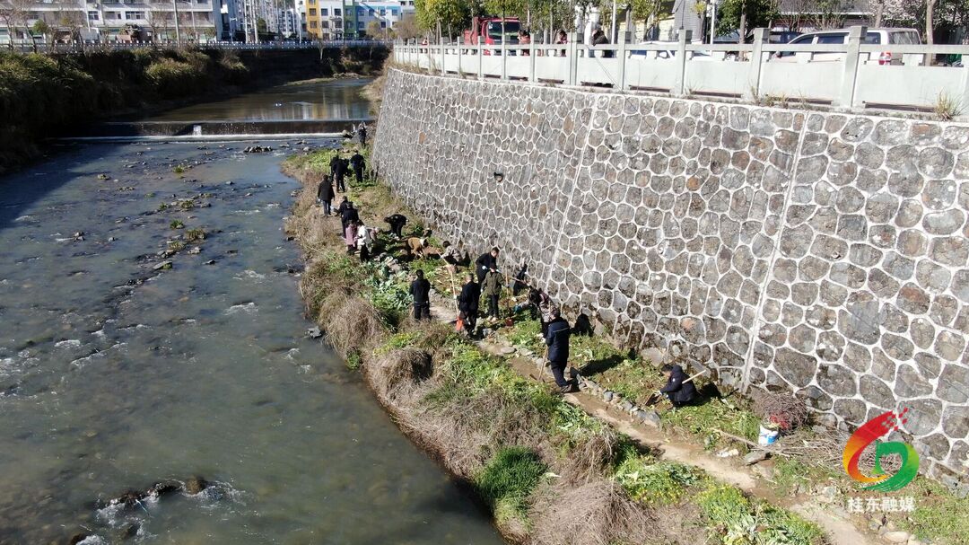 县城管局开展河道两岸环境卫生整治行动