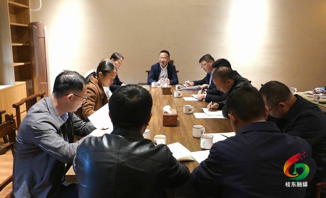 伍志平调研知青小寨项目建设等工作