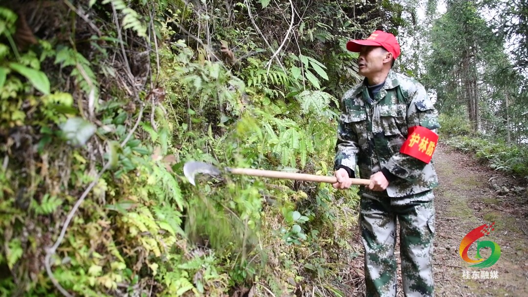 榜样的力量|张友权：当好绿水青山的“守护者”