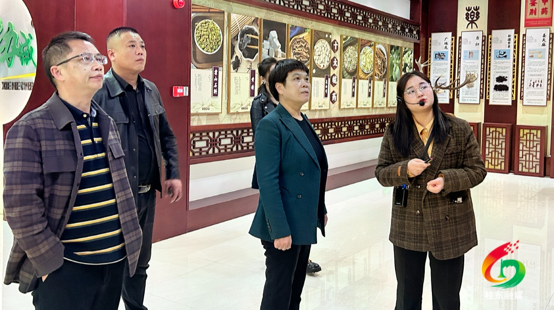 刘真带队赴重庆安徽开展招商考察